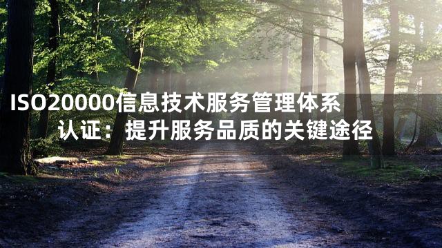 ISO20000信息技术服务管理体系认证：提升服务品质的关键途径
