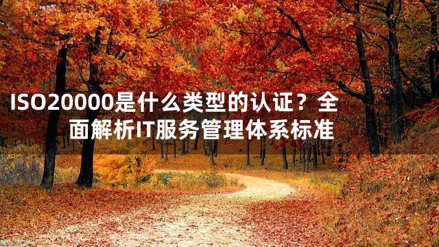 ISO20000是什么类型的认证？全面解析IT服务管理体系标准