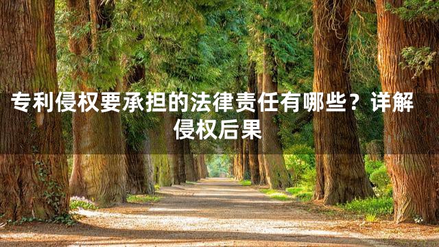 专利侵权要承担的法律责任有哪些？详解侵权后果