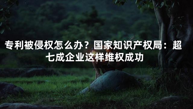 专利被侵权怎么办？国家知识产权局：超七成企业这样维权成功