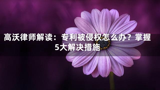高沃律师解读：专利被侵权怎么办？掌握5大解决措施