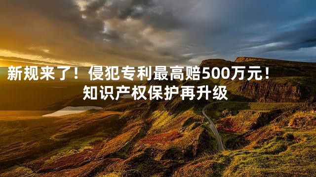 新规来了！侵犯专利最高赔500万元！知识产权保护再升级