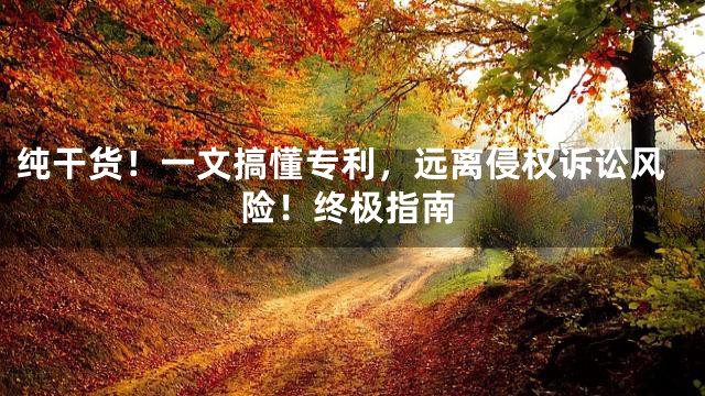 纯干货！一文搞懂专利，远离侵权诉讼风险！终极指南