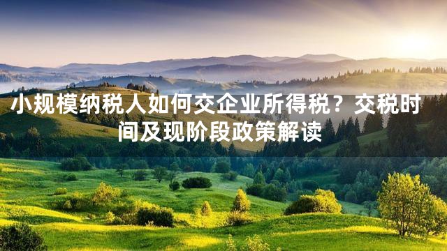 小规模纳税人如何交企业所得税？交税时间及现阶段政策解读