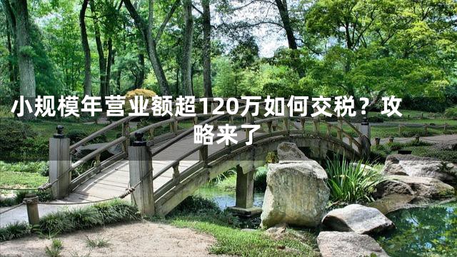 小规模年营业额超120万如何交税？攻略来了