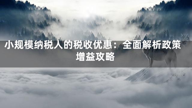 小规模纳税人的税收优惠：全面解析政策增益攻略