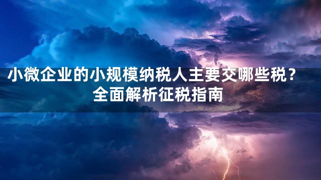 小微企业的小规模纳税人主要交哪些税？全面解析征税指南