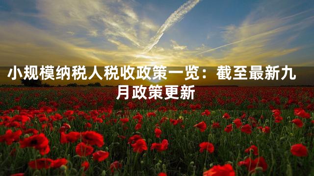 小规模纳税人税收政策一览：截至最新九月政策更新