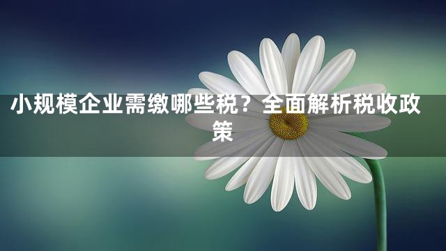小规模企业需缴哪些税？全面解析税收政策