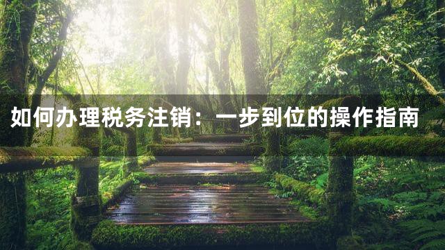 如何办理税务注销：一步到位的操作指南