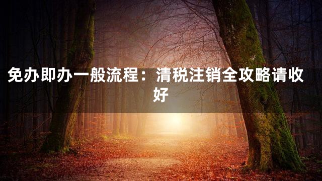 免办即办一般流程：清税注销全攻略请收好