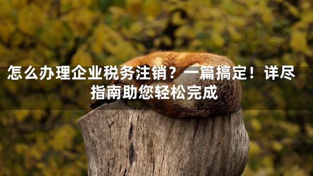 怎么办理企业税务注销？一篇搞定！详尽指南助您轻松完成