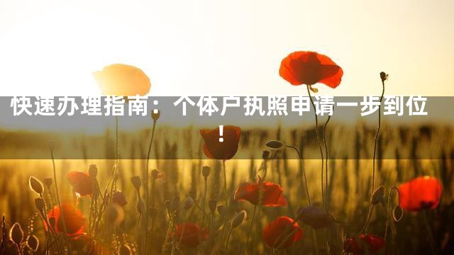 快速办理指南：个体户执照申请一步到位！