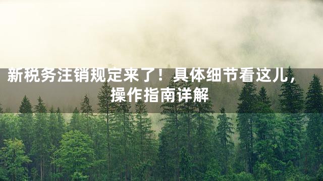 新税务注销规定来了！具体细节看这儿，操作指南详解
