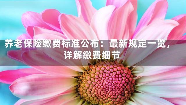 养老保险缴费标准公布：最新规定一览，详解缴费细节