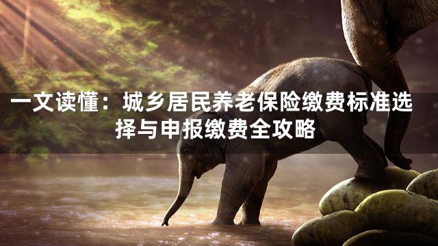 一文读懂：城乡居民养老保险缴费标准选择与申报缴费全攻略