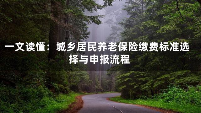 一文读懂：城乡居民养老保险缴费标准选择与申报流程