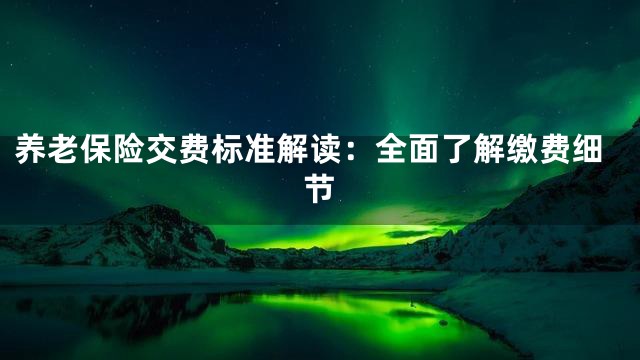 养老保险交费标准解读：全面了解缴费细节