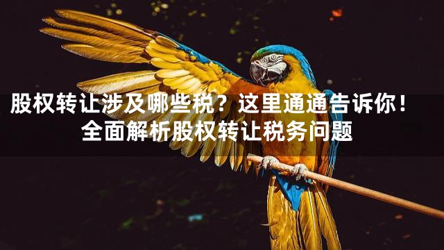 股权转让涉及哪些税？这里通通告诉你！全面解析股权转让税务问题