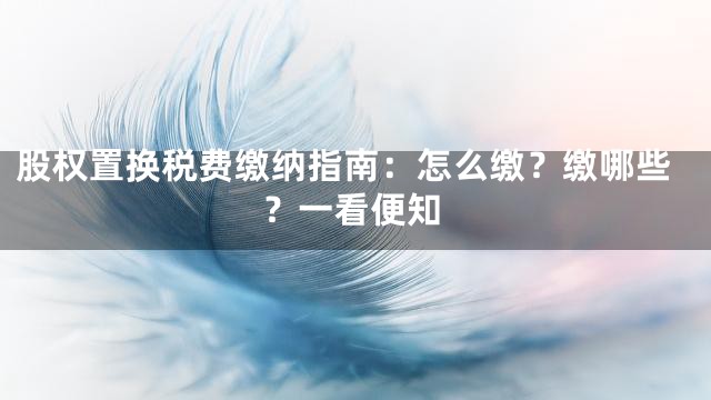 股权置换税费缴纳指南：怎么缴？缴哪些？一看便知