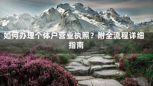 如何办理个体户营业执照？附全流程详细指南