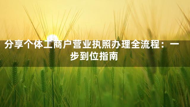 分享个体工商户营业执照办理全流程：一步到位指南