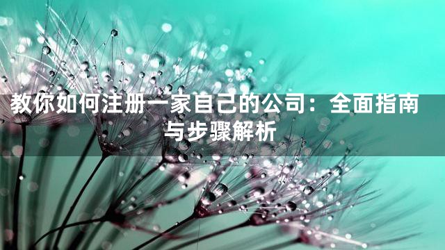 教你如何注册一家自己的公司：全面指南与步骤解析