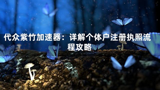 代众紫竹加速器：详解个体户注册执照流程攻略