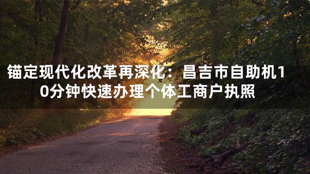 锚定现代化改革再深化：昌吉市自助机10分钟快速办理个体工商户执照
