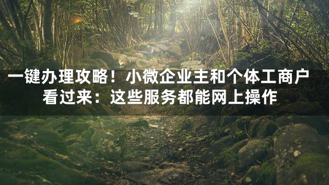一键办理攻略！小微企业主和个体工商户看过来：这些服务都能网上操作