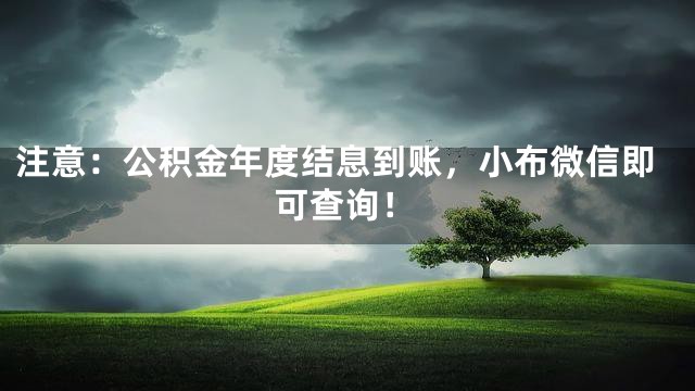 注意：公积金年度结息到账，小布微信即可查询！