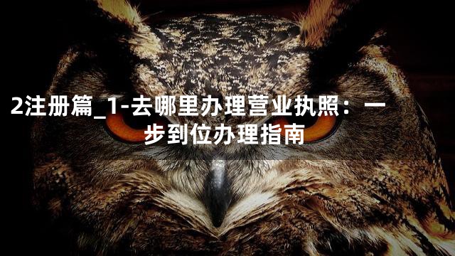 2注册篇_1-去哪里办理营业执照：一步到位办理指南