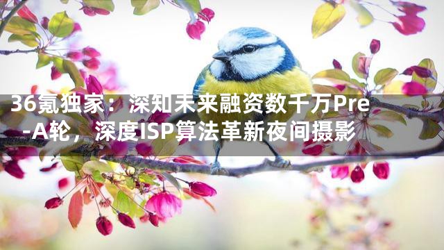 36氪独家：深知未来融资数千万Pre-A轮，深度ISP算法革新夜间摄影