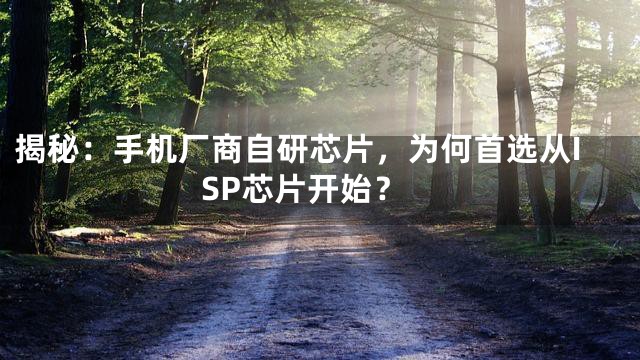 揭秘：手机厂商自研芯片，为何首选从ISP芯片开始？