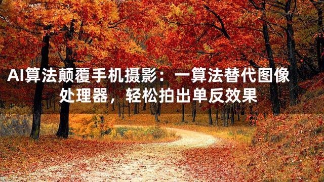 AI算法颠覆手机摄影：一算法替代图像处理器，轻松拍出单反效果