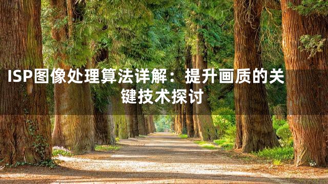 ISP图像处理算法详解：提升画质的关键技术探讨