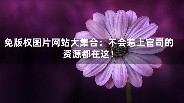 免版权图片网站大集合：不会惹上官司的资源都在这！
