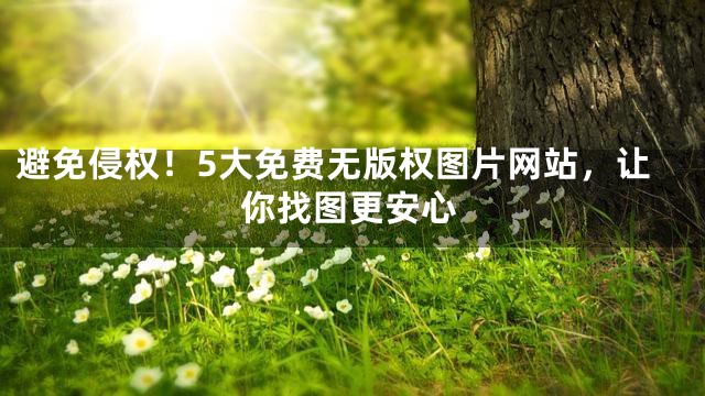 避免侵权！5大免费无版权图片网站，让你找图更安心