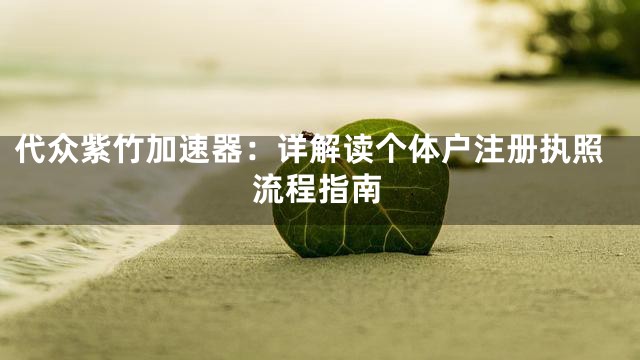 代众紫竹加速器：详解读个体户注册执照流程指南