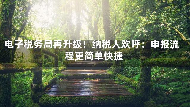 电子税务局再升级！纳税人欢呼：申报流程更简单快捷