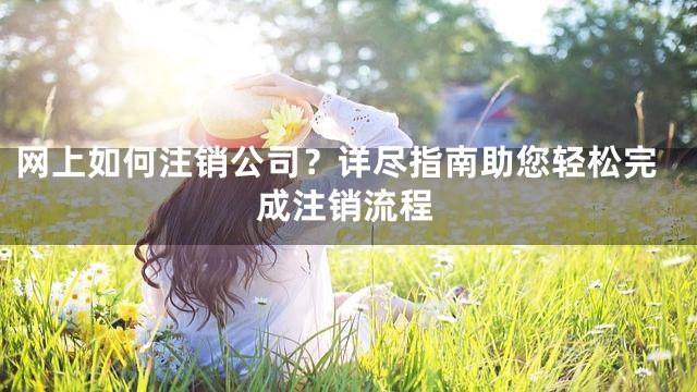 网上如何注销公司？详尽指南助您轻松完成注销流程