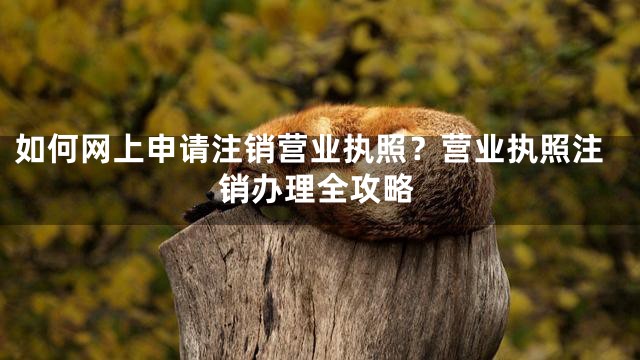 如何网上申请注销营业执照？营业执照注销办理全攻略