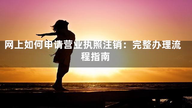 网上如何申请营业执照注销：完整办理流程指南