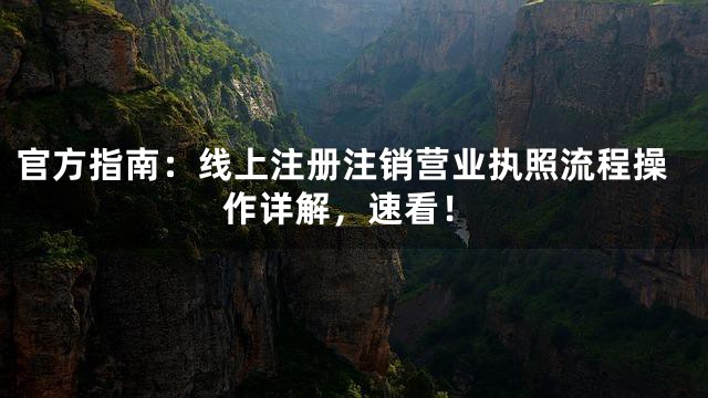 官方指南：线上注册注销营业执照流程操作详解，速看！