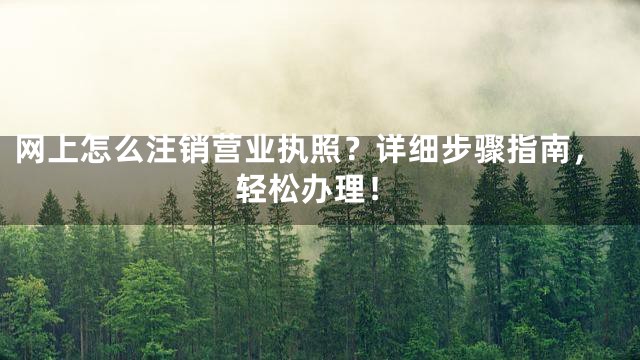 网上怎么注销营业执照？详细步骤指南，轻松办理！