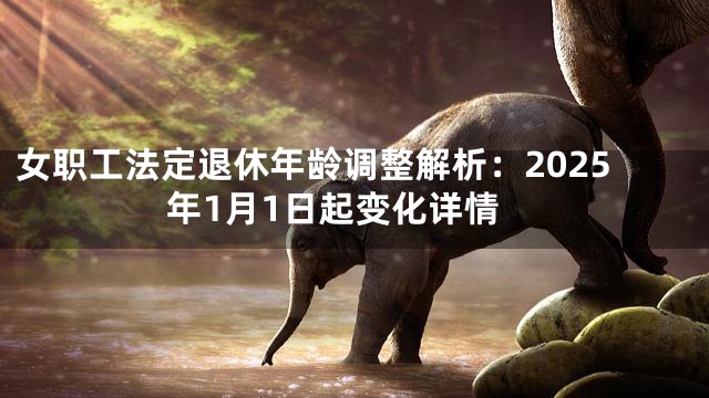 女职工法定退休年龄调整解析：2025年1月1日起变化详情
