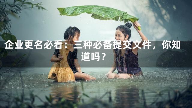 企业更名必看：三种必备提交文件，你知道吗？