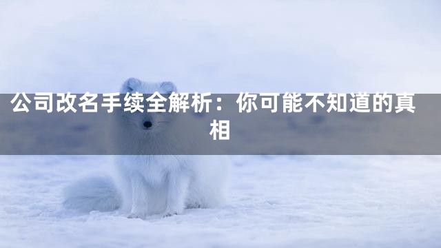 公司改名手续全解析：你可能不知道的真相