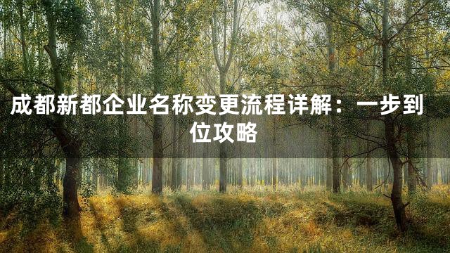 成都新都企业名称变更流程详解：一步到位攻略