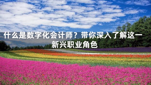 什么是数字化会计师？带你深入了解这一新兴职业角色